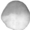 Silica Gel 60 for Column Chromatography