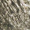 Lanthanum
