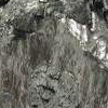 Terbium